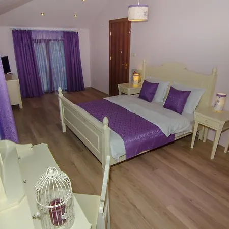 Guest house Elma